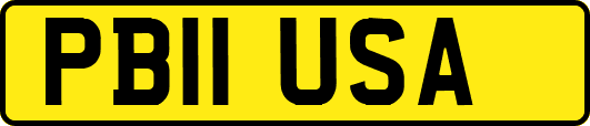 PB11USA