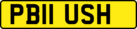 PB11USH