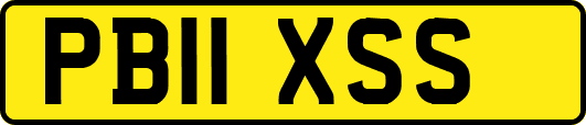 PB11XSS