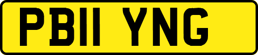 PB11YNG