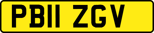 PB11ZGV