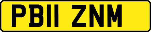 PB11ZNM