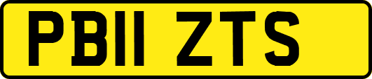 PB11ZTS