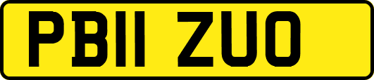 PB11ZUO