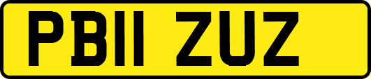 PB11ZUZ