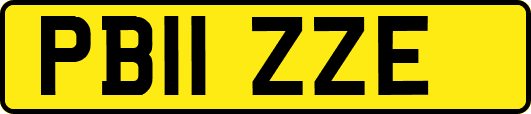 PB11ZZE