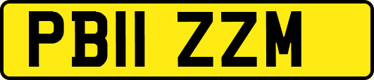 PB11ZZM
