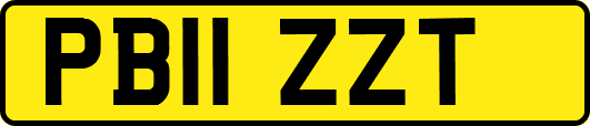 PB11ZZT