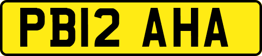 PB12AHA