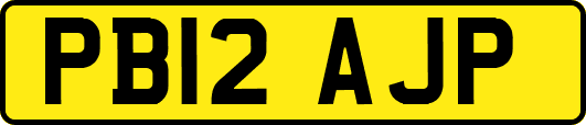 PB12AJP