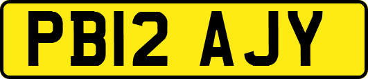 PB12AJY