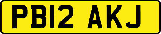 PB12AKJ