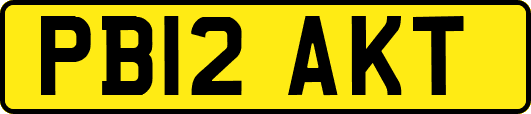 PB12AKT