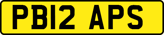 PB12APS