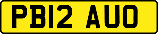 PB12AUO
