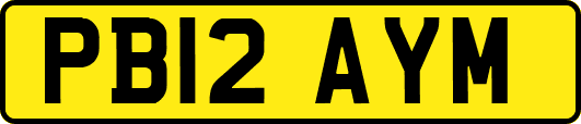PB12AYM