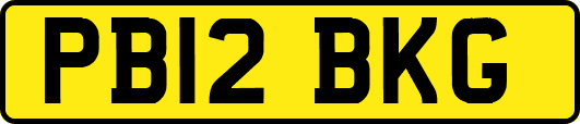 PB12BKG