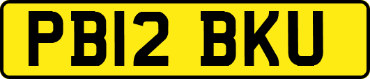 PB12BKU