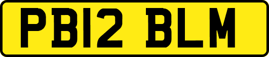 PB12BLM