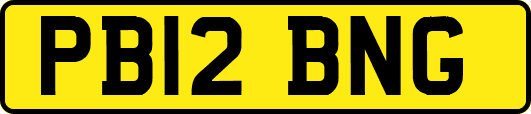 PB12BNG