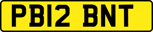 PB12BNT