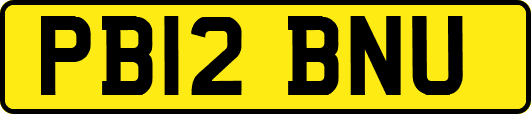 PB12BNU