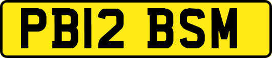 PB12BSM
