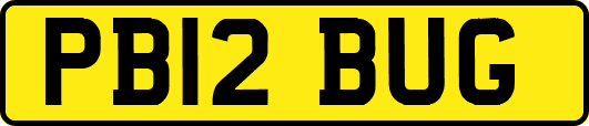 PB12BUG