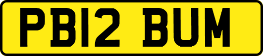 PB12BUM