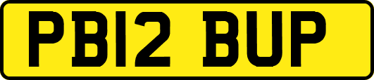 PB12BUP