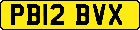 PB12BVX