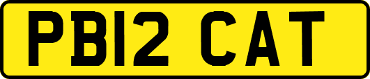PB12CAT