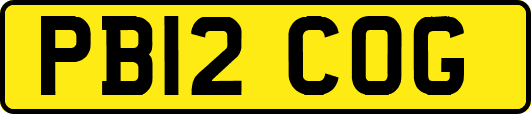 PB12COG