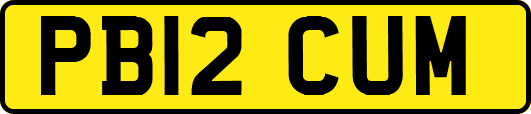 PB12CUM