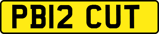 PB12CUT