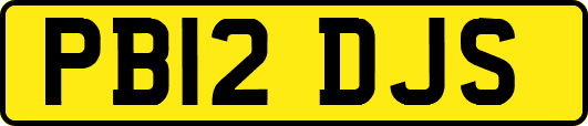 PB12DJS