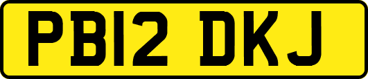PB12DKJ