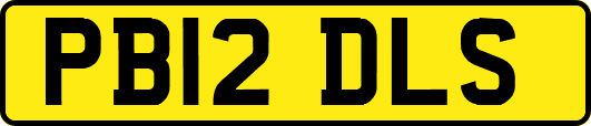 PB12DLS