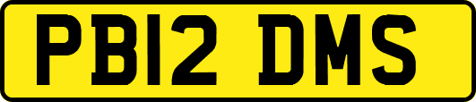 PB12DMS