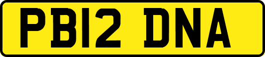 PB12DNA