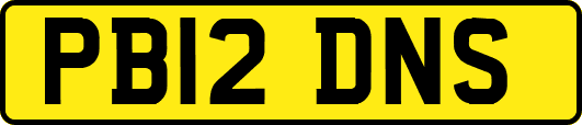 PB12DNS