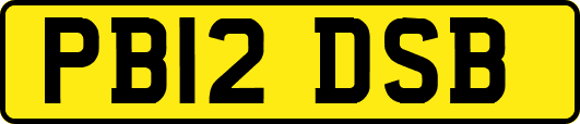 PB12DSB