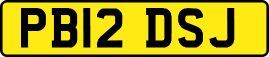 PB12DSJ