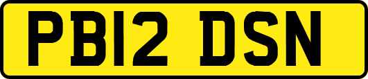 PB12DSN