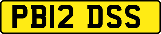 PB12DSS