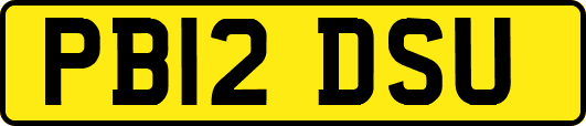 PB12DSU