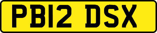 PB12DSX