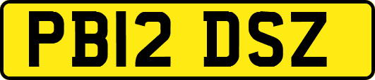 PB12DSZ