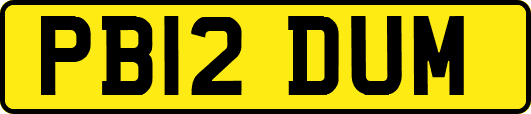 PB12DUM