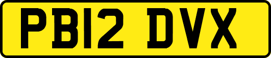 PB12DVX